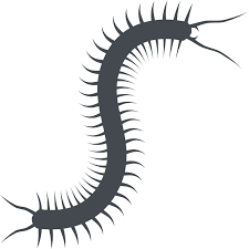 Several different pest control methods include biological, mechanical, physical, poisoned bait, field burning, trap cropping and the use of pesticides. Pest Rodent Control Huntington Woods Mi Ecotec Pest Control