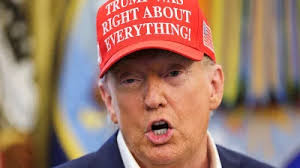 Moment Florida hiker spots 8-foot alligator CLIMB over fence