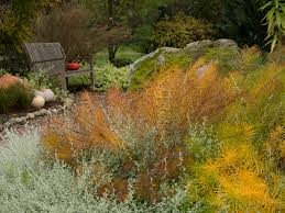 Check spelling or type a new query. Best Drought Tolerant Perennials Annuals That Are Deer Resistant Too Le Jardinet