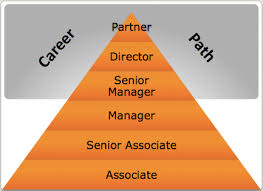 Organizational Complexity Pricewaterhousecoopers Llp Mba