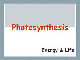 Photosynthesis Energy Life Copyright Cmassengale Ppt Download