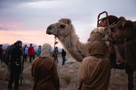 Andy latimer's guitar work is inspired, and camel's gifts have seldom been so succinctly packaged. Here Are 5 Things That Set The Christ Child Apart From Other Versions Of The Nativity Story Church News