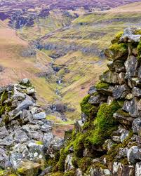 Pride of Yorkshire Fountains Abbey Ripon Yorkshire