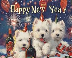 22 Westies ideas in 2025