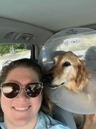 What is the dog's name?