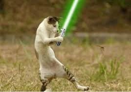See more ideas about cats, star wars, feline. Semi Hiatus B A P As Cats With Lightsabers