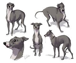 Pin On Animaldrawing