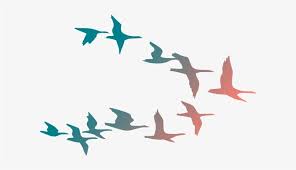 Birds Flying In The Sky Png Png Transparent Download Bird Flying Clipart Colorful Flying Birds Png In 2020 Birds Flying Flying Birds Images Flying Bird Drawing