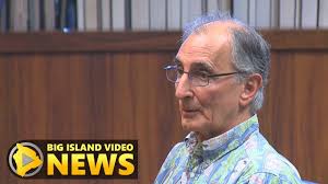 VIDEO: Andy Levin, Mayor's Lobbyist, Before Council