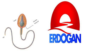 Cumhurbaşkanlığı logosu haberleri için tıklayınız. Rte Nin Cumhurbaskanligi Secim Logosu Sayfa 3 Uludag Sozluk