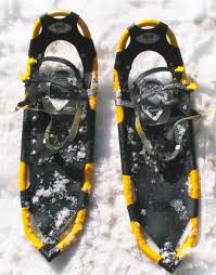 Snowshoe Wikipedia