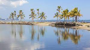 The remnant hammock is across old cutler road atop the rugged limestone karst of the atlantic coastal ridge. Matheson Hammock Park Florida Hikes