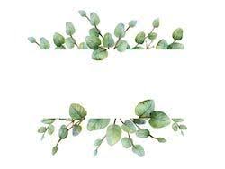 Youtube Banner Backgrounds Flowers Banner With Flowers Banner With Flower In 2020 Watercolor Flower Background Youtube Banner Backgrounds Flower Background Iphone
