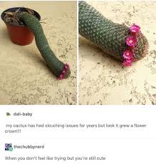 Jyℓyeѕ Kramxd Funny Memes Memes Tumblr Funny