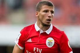 Ruben santos gato alves dias. Why Tottenham Should Make A Move For Benfica Defender Ruben Dias