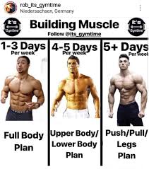 Bulking Steroids Bulk Up Gain Muscle Mass Workout Plan For Men Full Body Workout Routine Muscle