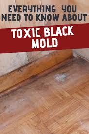 Toxic Black Mold Poisoning What You Need To Know Black Mold Exposure Symptoms Of Mold Poisoning Black Mold Symptoms