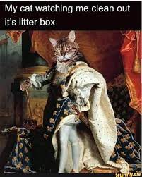 Pin On Funny Quotes Sarcasm