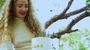 We did not find results for: Decide That You Want It More Than You Are Afraid Of It Corujado Music Room Study And Relax Pop Youtube