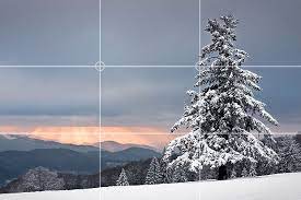 You can, in fact, use it in more than just photography. Rule Of Thirds Photography Mad