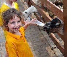 We feel it is important for children and adults of all ages to be able to interact with our many breeds of animals in all sizes which is why we aim to accommodate all of our. 7 Our Happy Customers Ideas Zoo Animals Post Animal Happy Customers