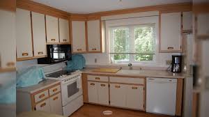 replace kitchen cabinet doors or reface