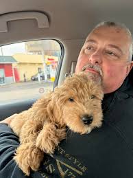 Please help us welcome Jesse to our pack! He's the perfect addition ♥️♥️♥️