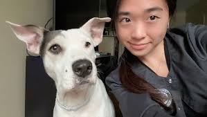 Fundraiser by Annie Guo : Support Daisy's Battle Against Cancer