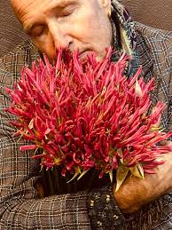 Profile for FleuR Royale flowered by Peter Boeijkens