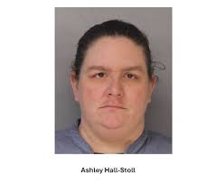 Dingmans Ferry Woman Charged for Unlawful Contact with a Minor