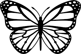Draw two lines on top of the head and add a circle at the top of each. Black And White Monarch Butterfly Drawing Free Image Download