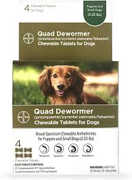 Never make these mistakes while deworming dog and puppy | deworming updates 2019. Amazon Com Bayer Chewable Quad Dewormer For Small Dogs 2 25 Lbs 4 Chewable Tablets Pet Supplies