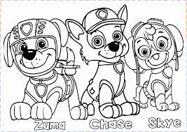 Color dozens of pictures online, including all kids favorite cartoon stars, animals, flowers, and more. Paw Patrol Coloring Page Awesome Paw Patrol Coloring Pages For Kids Paw Patrol Coloring Paw Patrol Coloring Pages Cartoon Coloring Pages