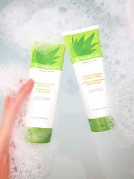 Herbalife In 2021 Herbalife Herbalife Nutrition Herbalism