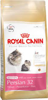 royal canin persian pienso para gatitos de raza persa pienso para gatos comida para gatos seco royal canin para gatitos fbn kitten persi yavru kediler kedi