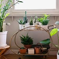J Adore Mon Chariot Dore Chine Au Marche Aux Puces De Marseille Mon Salon A Des Airs De Jardin D Hivers Et Mes Plantes Sont Planters Planter Pots Plants