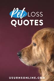I am sure dog parents who have experienced the same would totally agree. Pet Loss Quotes Poems More To Honor Your Furry Friend Urns Online
