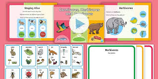 They forage for plant matter like herbivores. Ks1 Carnivores Herbivores And Omnivores Lesson Pack