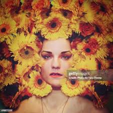 14 Tara Pollard Stock Photos, High-Res Pictures, and Images