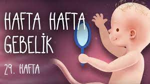 hafta hafta gebelik 29 hafta youtube