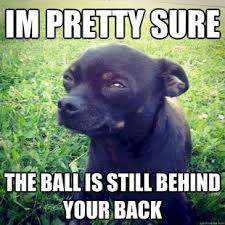 Puppy Dog Cute Funny Pretty Sure Ball Still Behind Back Funny Animal Pictures Funny Dogs Funny Animals