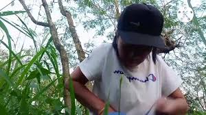 Berak di Kresek - ThisVid.com