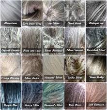 Image Result For Gray Hair Color Chart Hair Silver Grey