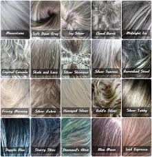 image result for gray hair color chart grey hair colour