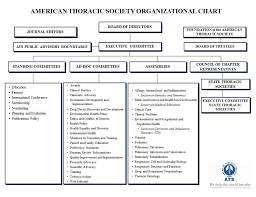 American Thoracic Society Ats Organizational Structure
