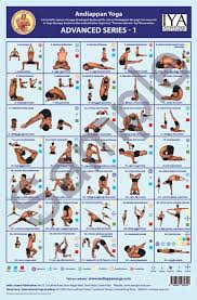 Yoga Dvd Combo Offer Andiappan Yoga