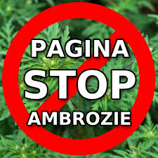 Transport gratuit >90 lei si livrare rapida. Stop Ambrozie Moldova Posts Facebook