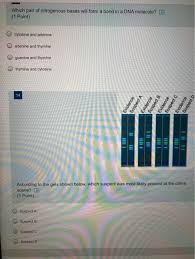 The 5' and 3' designations refer to the number of carbon atom in a deoxyribose sugar molecule to which a phosphate group bonds. What Are The Pairing Of Nitrogenous Bases In The Dna Structure