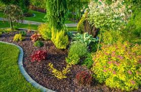 Dreamng of a custom pool for your home? Lawn Care Memphis Tn Trinity Lawn Care Call Today