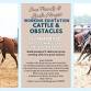 Sue Franks & Linda Hingst Working Equitation event image